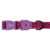 Coleira para Cachorros Zeedog Brain - Chiaradia Pet Store