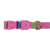 Coleira para Cachorros Zeedog Melted - loja online