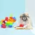 Zippy Paws Zippy Burrow® Piñata na internet