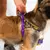 Peitoral Para Cachorros Zee Dog Softer Walk Antipuxão Zmiley - Chiaradia Pet Store