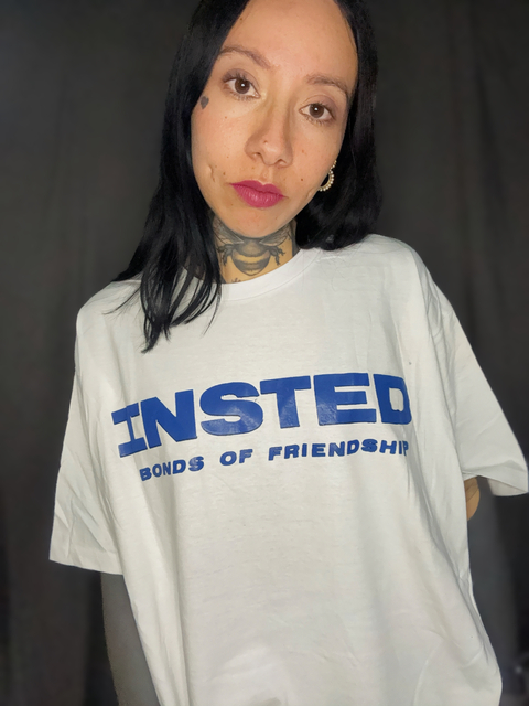 INSTED