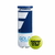 Tubo Pelotas Babolat Gold All Court x3