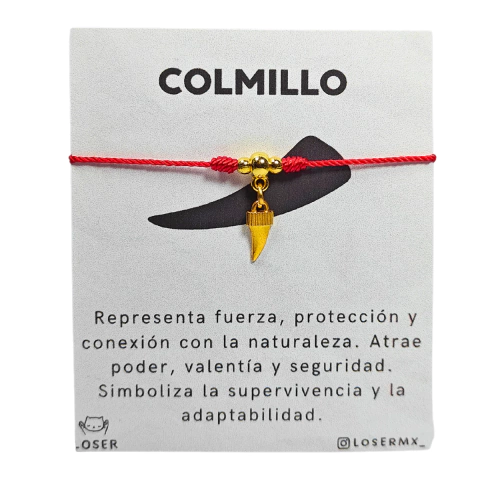 Pulsera con Dije de Colmillo