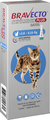 Bravecto Transdermal Plus para Gatos de 2,8 a 6,25 Kg