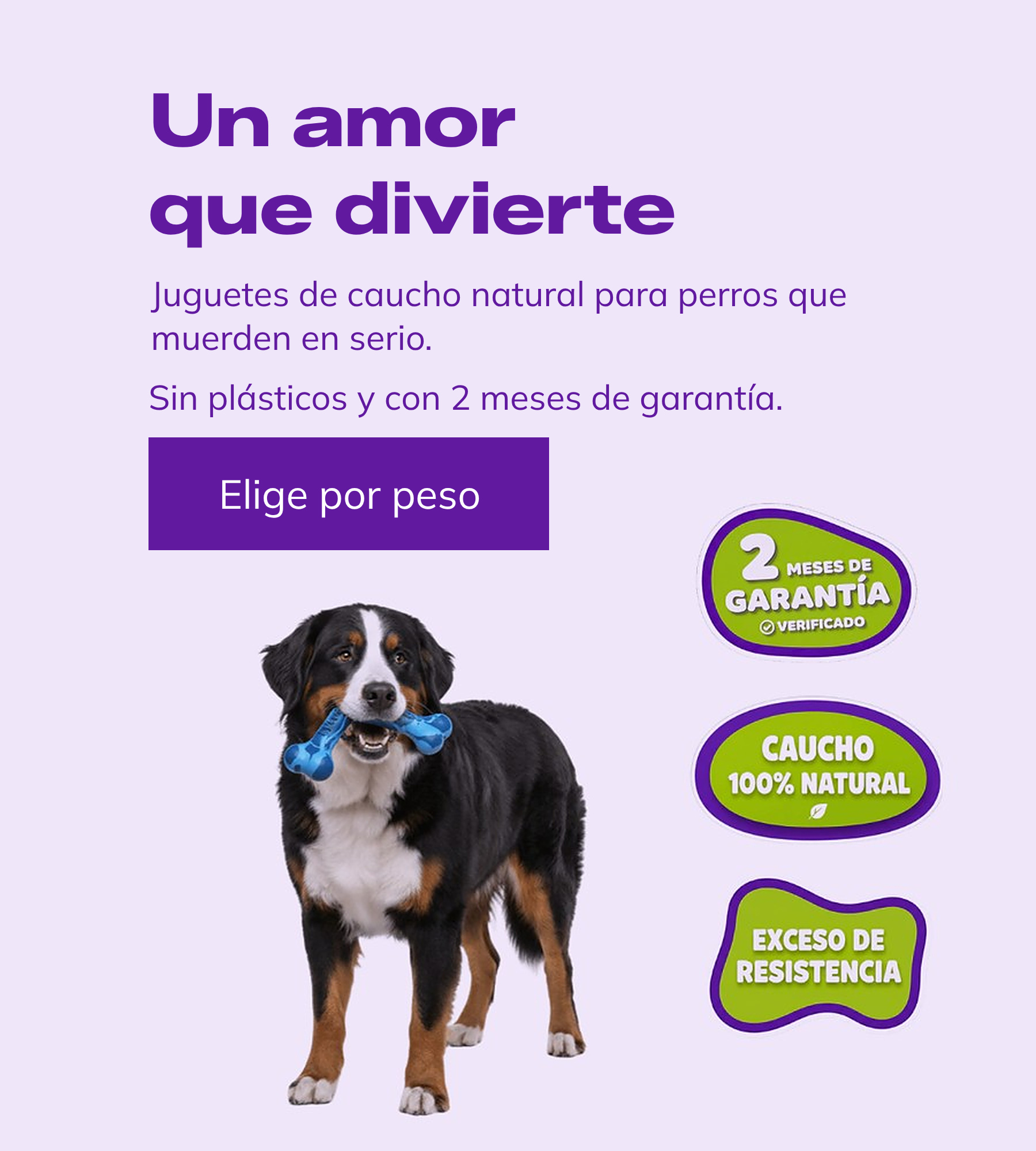 Carrusel