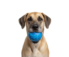 Pelota Maciza Grande en internet