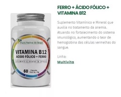 Vitamina B12 Ácido Fólico e Ferro 60 Cápsulas Flora Nativa - comprar online