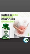 ESPINHEIRA SANTA 60 CÁPSULAS 500MG ESSENCIALBIO