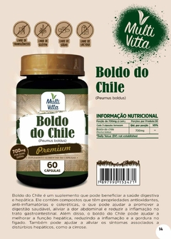 Boldo do chile 700mg Multi Vitta 60 caps