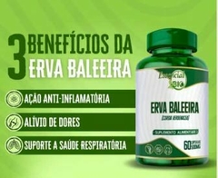 ERVA BALEEIRA 500MG ESSENCIAL BIO C/60 CÁPS - comprar online