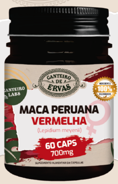 MACA PERUANA VERMELHA CANTEIRO DE ERVAS