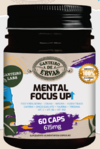 MENTAL FOCUS UP 615MG 60CAPSULAS - CANTEIRO DE ERVAS