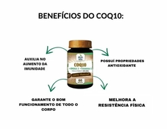 Coenzima Coq10 Ubiquinona c/ Ômega 3 e Vitamina E 1000mg 60 Cáps Multi vitta - comprar online