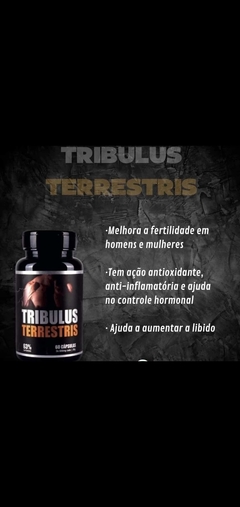 Tribulus Terrestris 120 cps Natugyn - comprar online