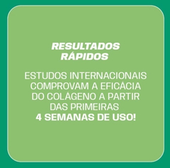 Imagem do Colágeno Tipo I Hidrolisado Enriquecido c/ Vitaminas e Minerais + Verisol CUIDDE 300g