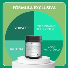 Colágeno Tipo I Hidrolisado Enriquecido c/ Vitaminas e Minerais + Verisol CUIDDE 300g na internet