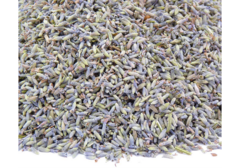 Lavanda Flor Deshidratada Origen Albania Premium x 100g