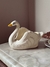 Cisne floreira