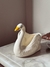 Cisne floreira - Garimpo Chique