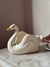 Cisne floreira na internet