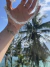 Imagem do Mix de Colares Minha Clareza prara 925