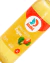 Kombucha Kit MIX surpresa (caixa 12) 355mL - Kulti - Kulti Kombucha