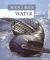 WATER - AGUA