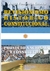 Revisionismo Histórico Nacional, Proyecto Nacional y Constitución