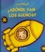 ADONDE VAN LOS SUEÑOS?