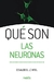 QUÉ SON LAS NEURONAS