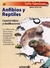 INFOLÁMINAS (4) - ANFIBIOS Y REPTILES