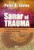 SANAR EL TRAUMA (C/ ACCESO A AUDIOS )