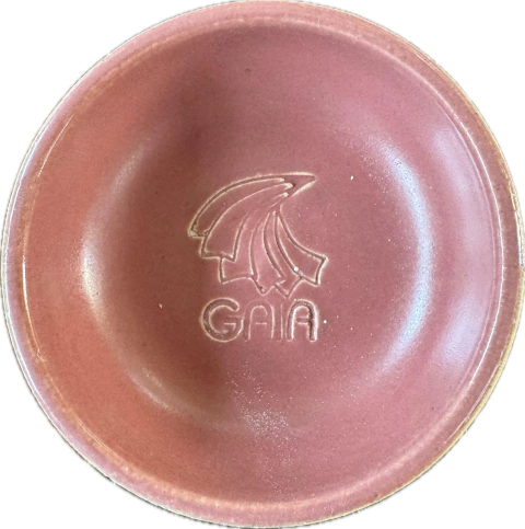 A 22 - BEGONIA - comprar online