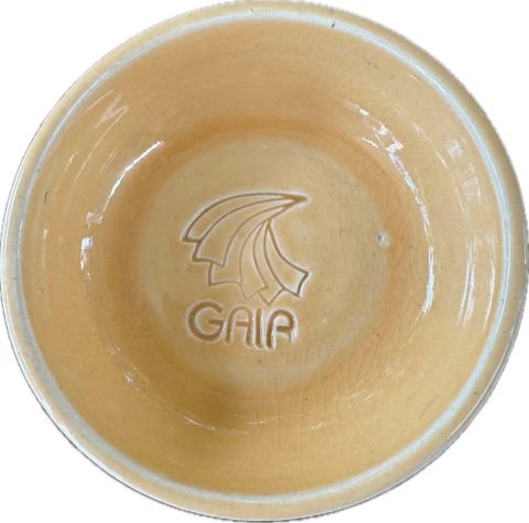 C 07 - ABRICOT - comprar online