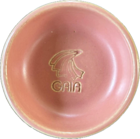 A 09 - FIGO - comprar online