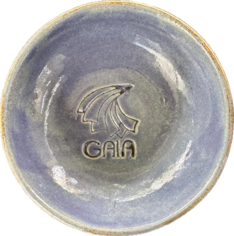 TC 16 - AZUL BERRY - comprar online