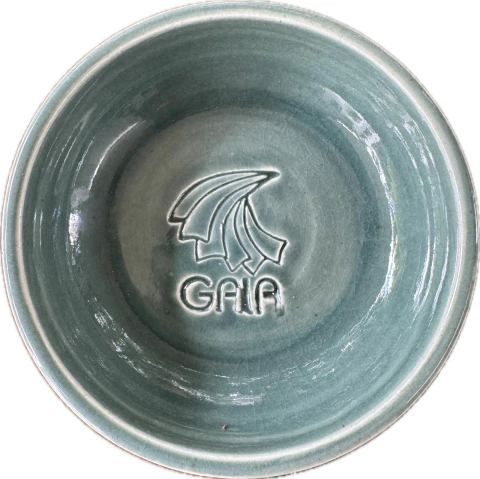 C 11 - SELVA - comprar online