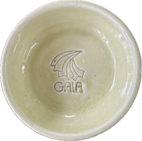 C 08 - KIWI - comprar online