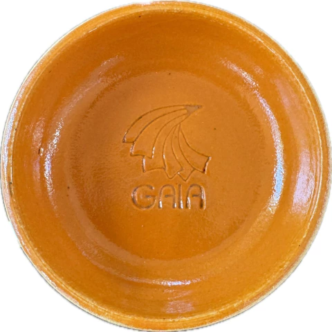 TC 06 - LARANJA - comprar online