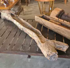 Cocho de madeira antiga em formato Y, perfeito para decoração vintage e sustentável
