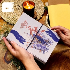 Journal da Libretto | Raízes