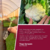 Sementes Couve Flor TIRSULI RZ F1 2.500 sementes. - loja online