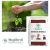 Imagem do Húmus de Minhoca 2 kg Adubo Orgânico para Jardins, Plantas, Vasos, Hortaliça – Mogifértil.