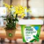 Adubo Fertilizante Forth ORQUIDEAS Manutençao 20-20-20 Peters 100g - comprar online