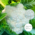 Sementes Couve Flor Paxton RZ F1 - 2.500 sementes - comprar online