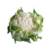 Sementes Couve Flor Paxton RZ F1 - 2.500 sementes - loja online