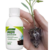 Fertilizante Adubo Forth Enraizador Líquido Concentrado 60ml - loja online