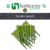 Imagem do Sementes Importadas Quiabo Precoce Speedy 3.000 sementes Horticeres