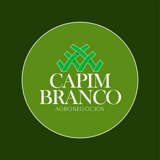 Capim branco agronegócios