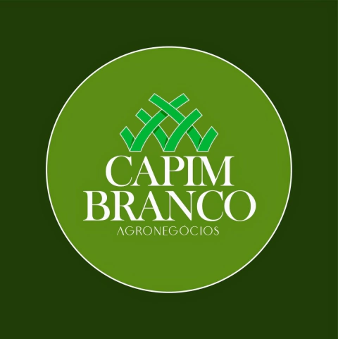 Capim branco agronegócios